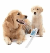 Zahnbürste für Hunde